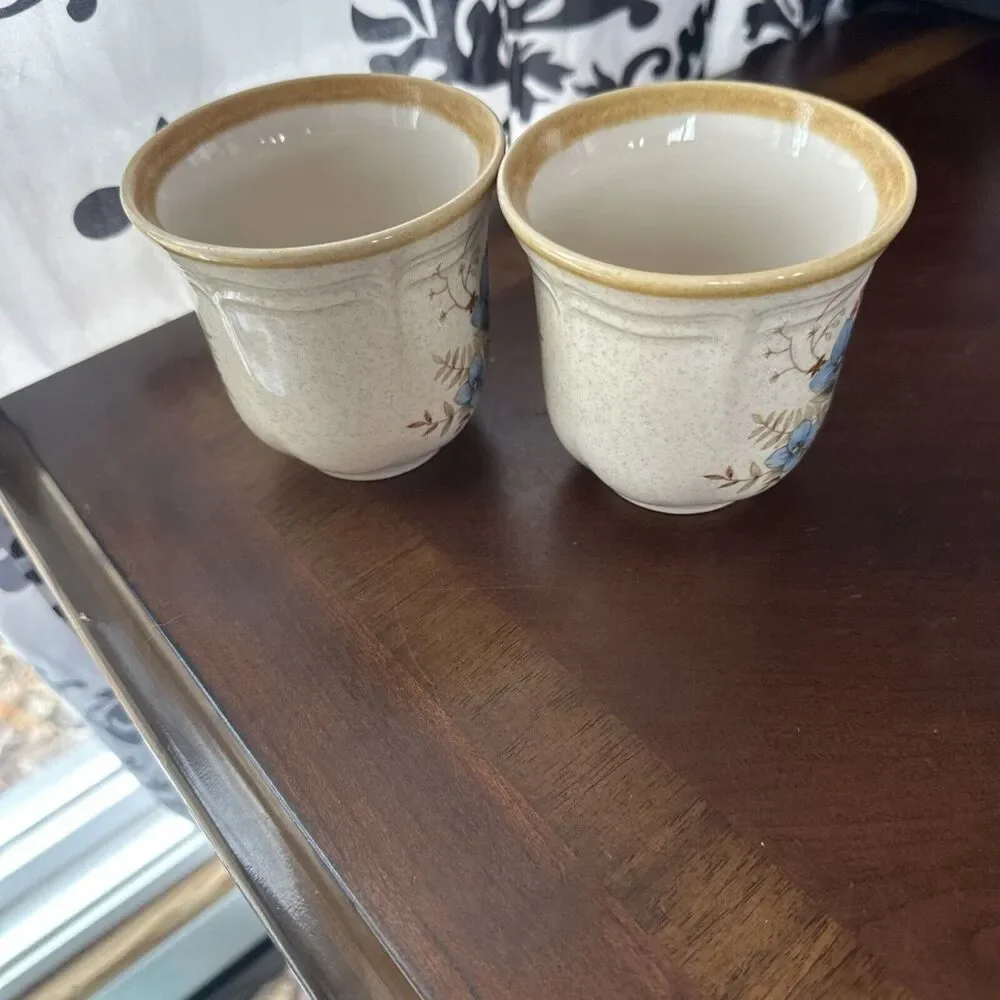 Mikasa Garden Club Day Dreams Bouquet Set of Two Mugs EC 461 Japan